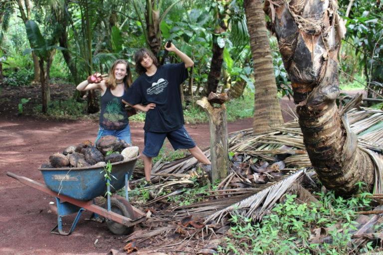 Paradise Eco Village Pahoa Dış mekan fotoğraf