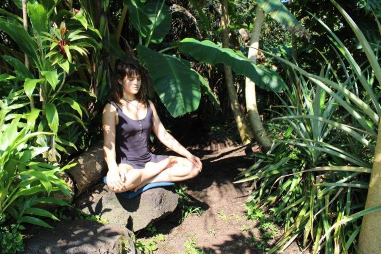 Paradise Eco Village Pahoa Dış mekan fotoğraf
