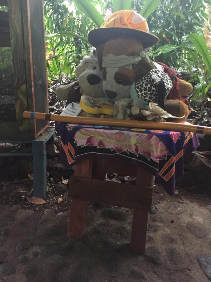 Paradise Eco Village Pahoa Dış mekan fotoğraf