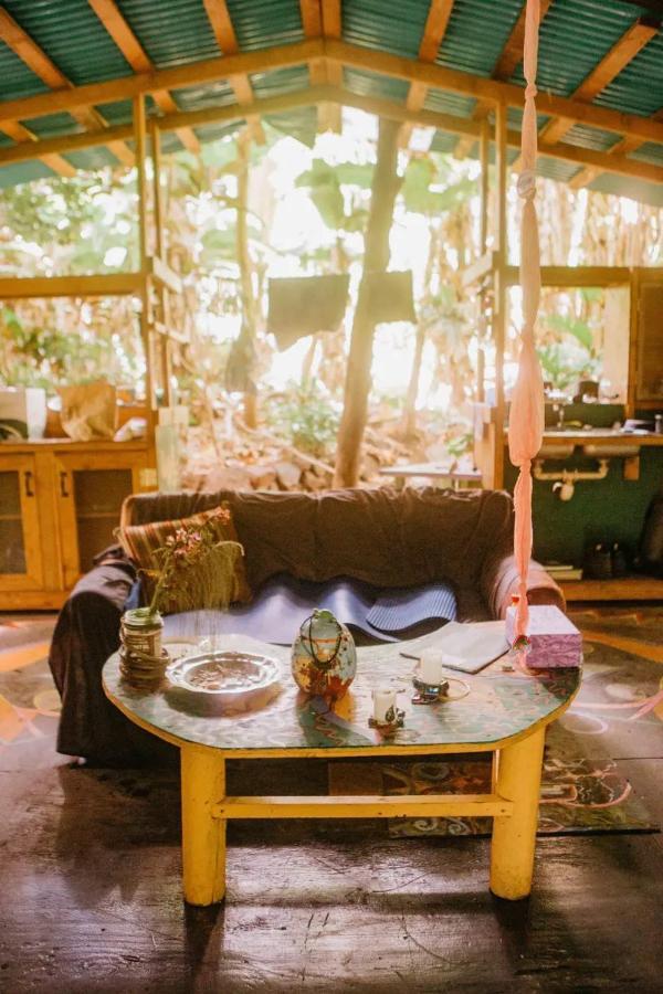 Paradise Eco Village Pahoa Dış mekan fotoğraf
