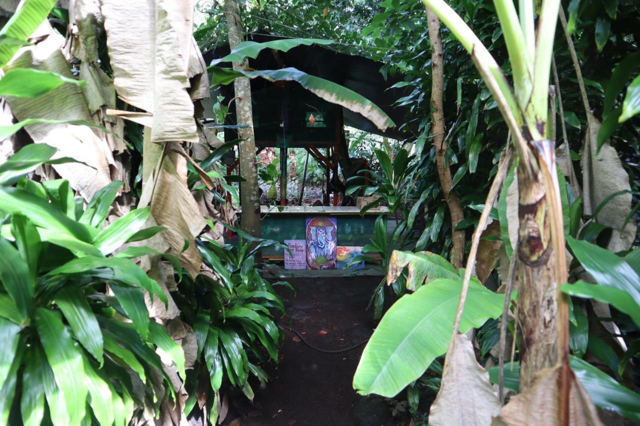 Paradise Eco Village Pahoa Dış mekan fotoğraf