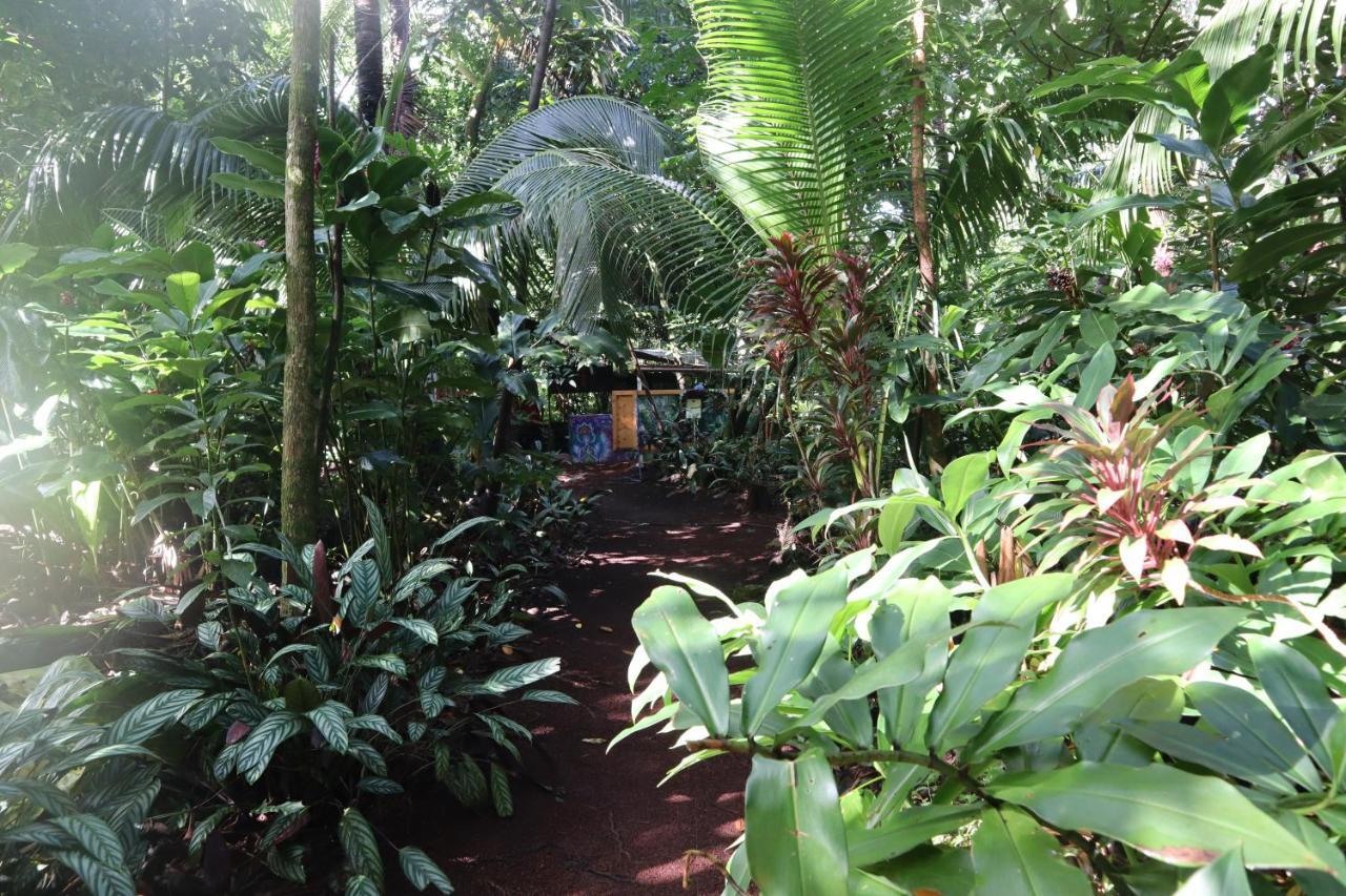 Paradise Eco Village Pahoa Dış mekan fotoğraf
