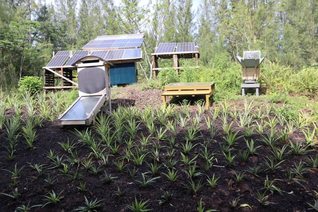 Paradise Eco Village Pahoa Dış mekan fotoğraf
