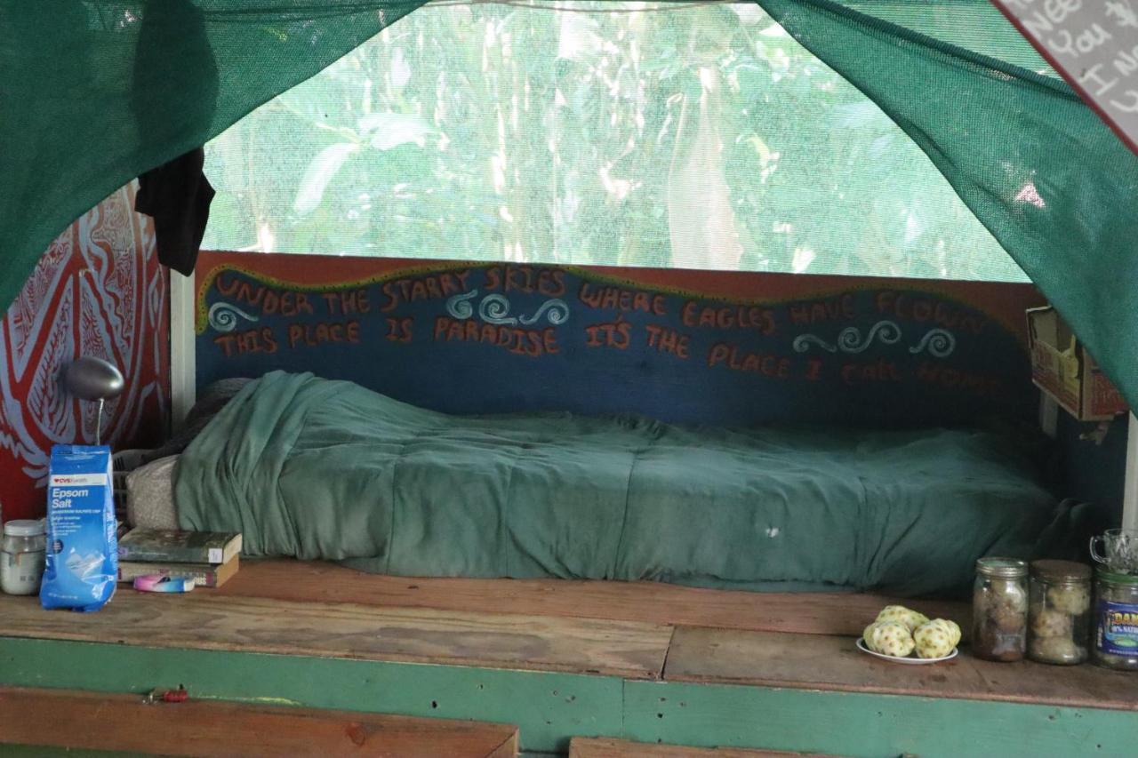 Paradise Eco Village Pahoa Dış mekan fotoğraf