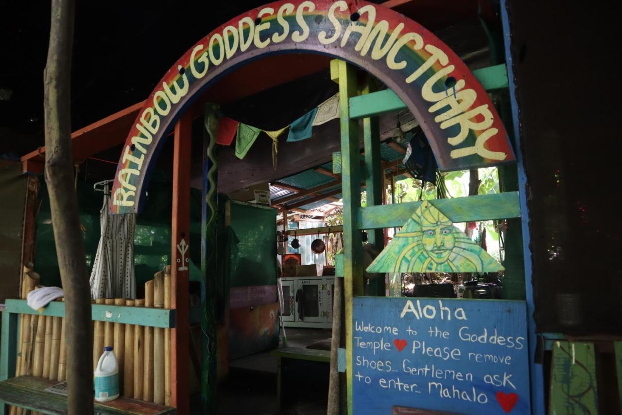 Paradise Eco Village Pahoa Dış mekan fotoğraf