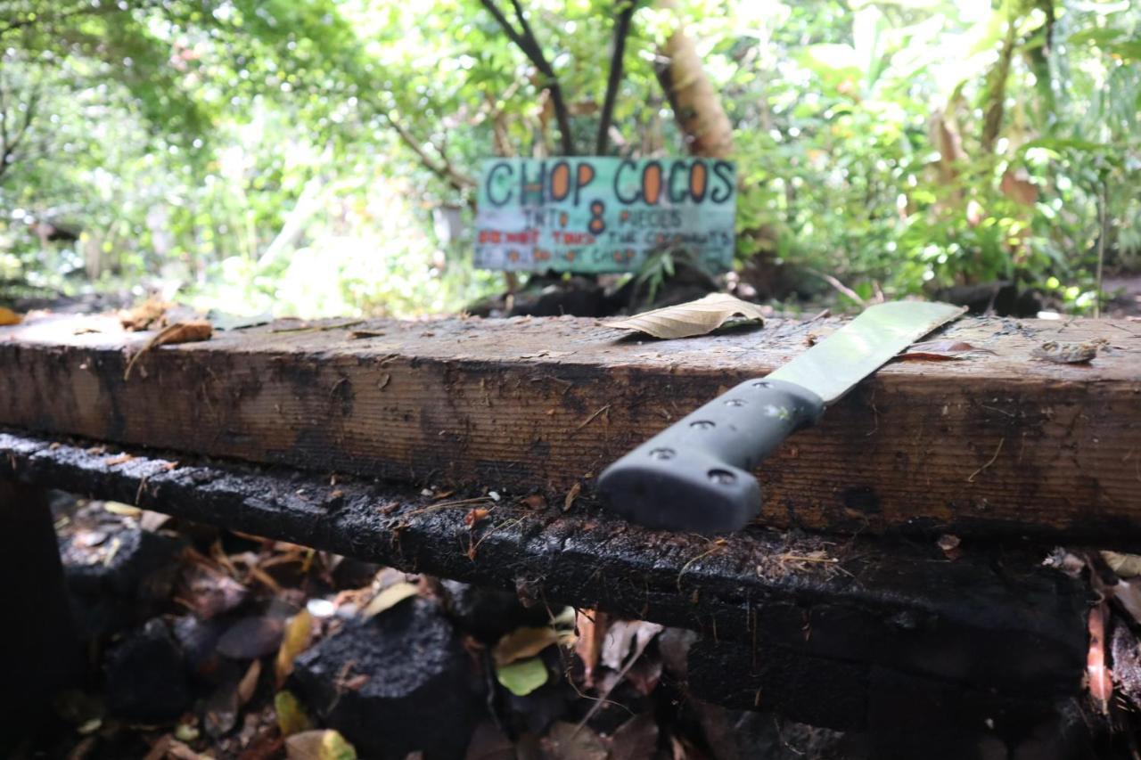 Paradise Eco Village Pahoa Dış mekan fotoğraf